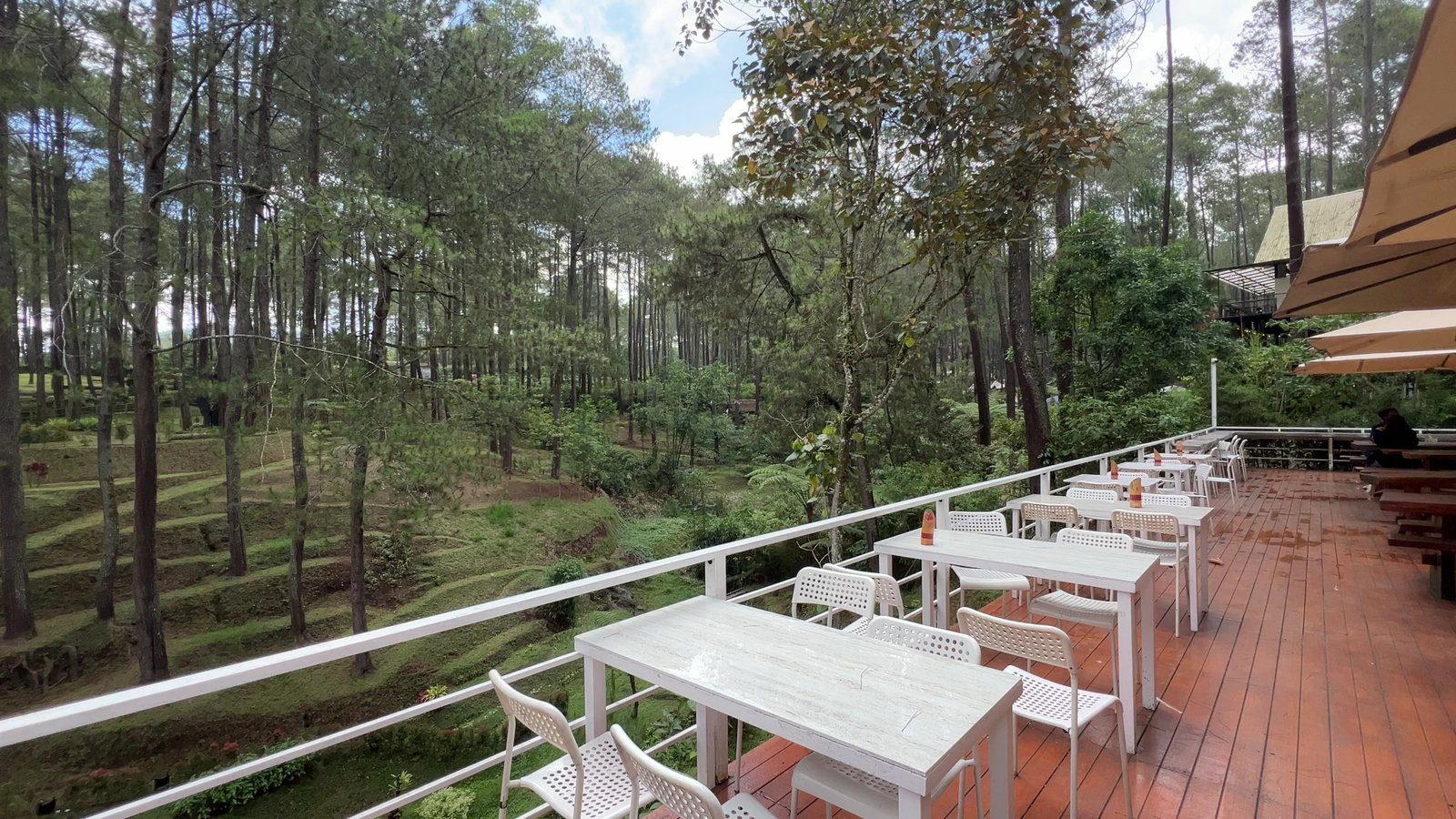Plantation de thé et de café près de Bandung